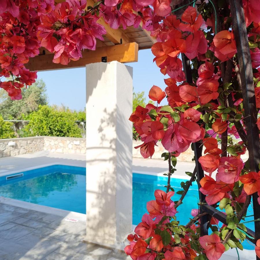 Lianas Garden House Villa Afantou Dış mekan fotoğraf