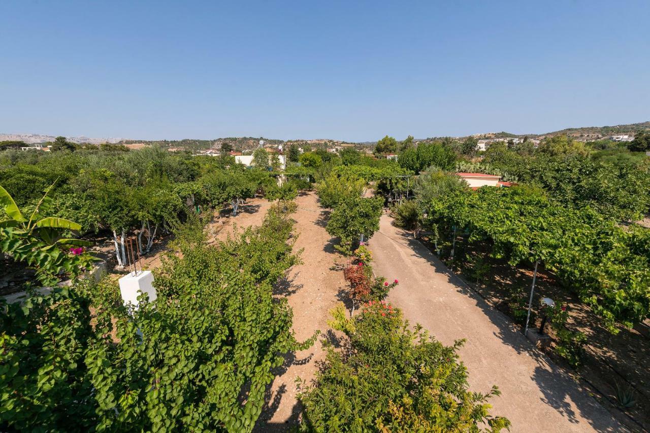 Lianas Garden House Villa Afantou Dış mekan fotoğraf