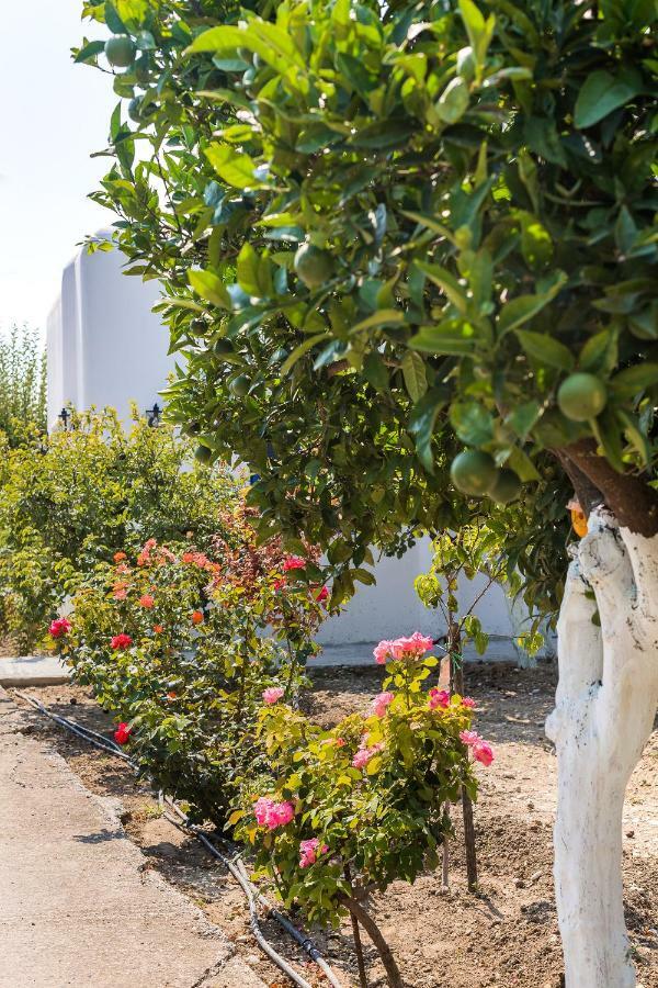 Lianas Garden House Villa Afantou Dış mekan fotoğraf